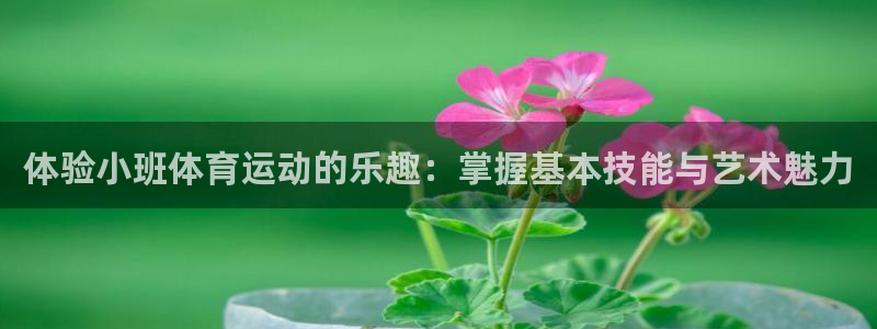 bbin视讯：体验小班体育运动的乐趣：掌握基本技能与艺术魅力