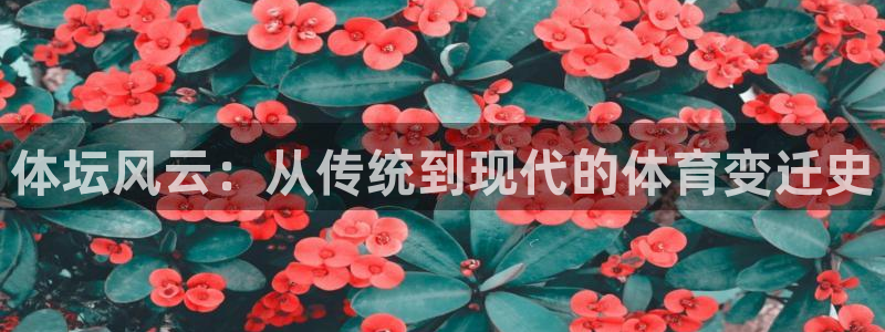 bbin视讯游戏平台：体坛风云：从传统到现代的体育变迁史