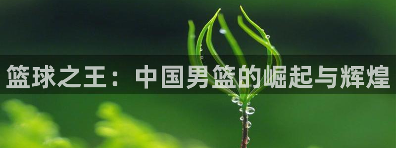 bbin视讯游戏平台：篮球之王：中国男篮的崛起与辉煌