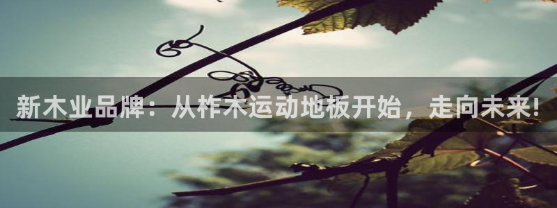 bbin视讯下：新木业品牌：从柞木运动地板开始，走向未来!