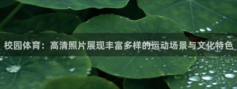bbin视讯：校园体育：高清照片展现丰富多样的运动场景与文化特色